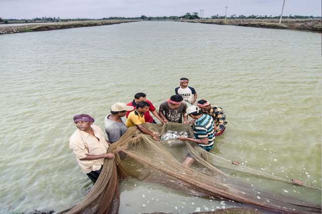 State Fisheries Development Corporation Ltd. (SFDC)